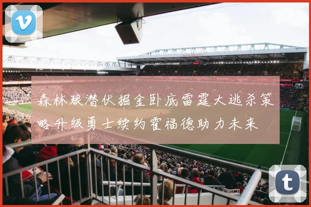 森林狼潜伏掘金卧底雷霆大逃杀策略升级勇士续约霍福德助力未来