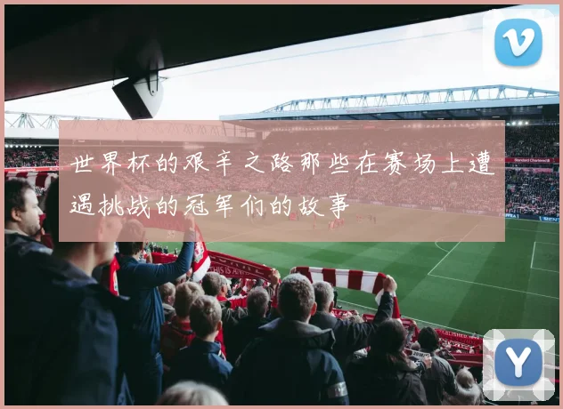 世界杯的艰辛之路那些在赛场上遭遇挑战的冠军们的故事