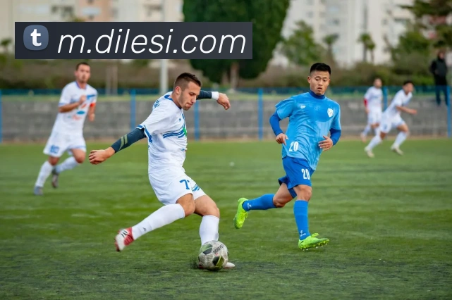 米乐登录网站服务体系